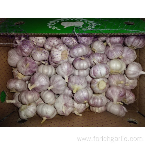 Normal White Garlic From Jinxiang For Export